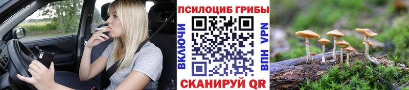Галлюциногенные грибы MAGIC MUSHROOMS  Чудово 